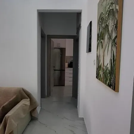 Niko Diana Suite 3D